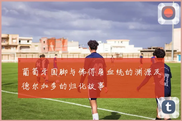 葡萄牙国脚与佛得角血统的渊源及德尔加多的归化故事