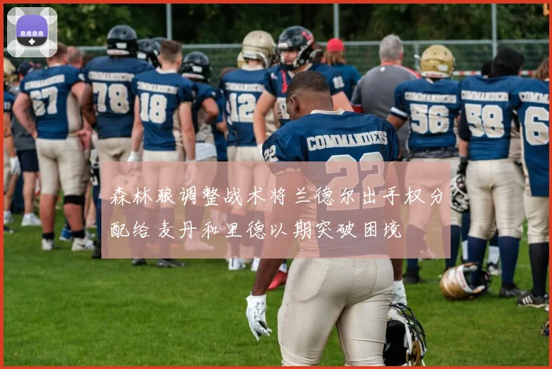 森林狼调整战术将兰德尔出手权分配给麦丹和里德以期突破困境