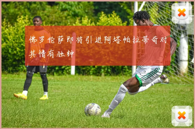 佛罗伦萨即将引进阿塔帕拉蒂奇对其情有独钟